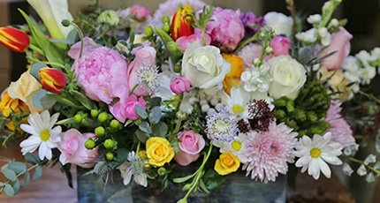 Женский день: Цветите изящно и растите навстречу солнцу, живите красивой жизнью независимо от времени