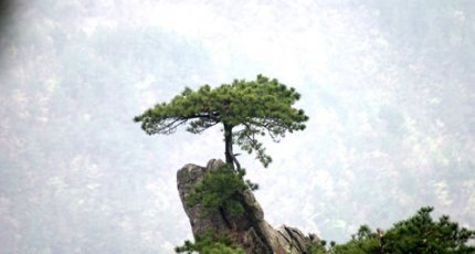 Осенний тимбилдинг